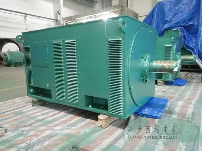 西瑪電機(jī)Y5603-10 560KW <a href=http://m.qdhuiyuan.cn/new/new-47-621.html target='_blank'><a href=http://m.qdhuiyuan.cn/new_tags_225.html target='_blank'>10kv高壓電機(jī)</a></a>