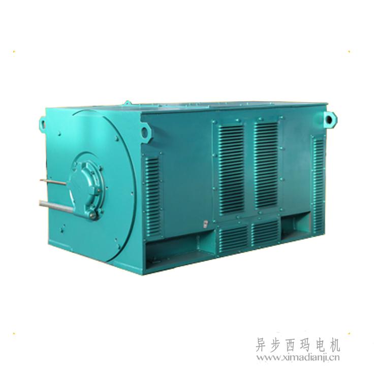 1733390585899915.jpg Y-2.jpg